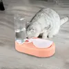 2-In-1 Pet Cat Bowl Automatyczny podajnik Dog Jedzenie z Fontanną Wodą Podniesioną Dish Dish S na Dr Driptriver 220323