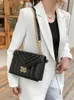 أزياء موضوع قطاع سلسلة crossbody حقائب الكتف للنساء حقيبة يد 2022 حقيبة يد نسائية جديدة حقيبة يد و المحافظ