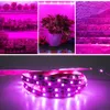 DC 5V USB LED Grow Light Full Spectrum 1M 4.8W 60LEDS SMD2835植物ストリップPHYTOランプ用植物花の苗木栽培テントボックス20m/lot