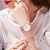 Designer Womens High Quality Fashion Casual Luminous Watches Ladies and Girls Watch Manufacturer Wholesale Quartz Round Mesh Strap Watch