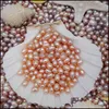 Pearl Loose Beads Jewelry Natural Freshwater Pearls Oyster No Hole 5-6Mm Bright Rice-Shaped Real Different Color Fashion Wholesale Drop Deli