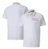 Camiseta F1 Fórmula 1 2022 Team Racing Suit Mens Lapela Camiseta Polo de Manga Curta Personalizável