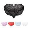 Underpants Men Underwear Sexy Low Rise Lace Briefs See Through Breathable Male Intimates PantiesUnderpants