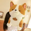 Super Cute Cartoon Corgi Peluche Big Fat Dog Doll Cuscino per dormire Cucciolo Bambola per ragazza Regalo per bambini 35 pollici 90 cm