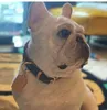2022 Popularitetsstil Utskrift med metall Hundkrafter Leashes Storstorlek Levereras med Box Brown Handgjorda Läder Designer Dogs Supplies