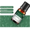 10 ml 0.33 Fl.OZ Pure Wormwood Essential Oil Pure Natural for Nourishing and Hydration Portable at Home Spa Elitzia