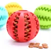 Pet Dog Toy Interactive Rubber Balls för små stora hundar Valpkatt som tuggar leksaker Pet Tandrengöring av oförstörbar hundmatboll 0628