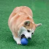 Cães de estimação brinquedos indestrutíveis mastiga bolas de brinquedo com corda brinquedos interativos para grande cachorro cachorro bouncy borracha sólida ball5368141