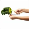 Kale Chard Collard Greens Herb Stripper Feuilles mobiles Romarin Thym Feuilles mobiles Gadgets de cuisine Légumes Outils My-0987 Drop Delivery 2021 Fru