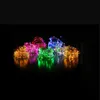 Strings 20/30 Packs 2M 3M 5M Copper Led Fairy String Lights Battery Operated Light For Party Bar Wedding Christmas DecorationLED