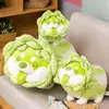 Śliczne japoński pies warzywny przytula się do kreatywnych masła kapusta Shiba inu pop poduszka milutka sofa zwierząt prezent j220704