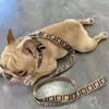 Coleiras para cães Conjuntos de trelas para animais de estimação Carta de moda Pequeno Médio Grande Lutador Schnauzer Bulldog Teddy Leashes