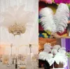 Plumes d'autruche blanches de 18 à 20 pouces (45 à 50 cm) pour pièce maîtresse de mariage, décoration d'événement de fête de mariage, décoration festive GWE13803