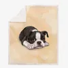 Couvertures chien lit jeter couverture pour enfants adulte 3d mignon hiver polaire doux chaud double taille couverture couvre-lit canapé décor