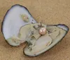 他の素晴らしい淡水カキと白いエジソンの真珠の中に9-13mmエジソンギフト女性パーティーDIYジュエリー9色PJW315OTHEREDW