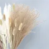 Couronnes De Fleurs Décoratives 30 Pcs Décor D'herbe De Pampa Naturelle Plantes Artificielles Moelleuses Vrai Bouquet De Mariage Séché Petit Bouquet De Roseaux Pour La Maison