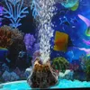 Decorations 1PCS Aquarium Volcano Shape & Air Bubble Stone Oxygen Pump Fish Tank Ornament Aquatic Supplies Pet Decor1217j