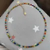 Colorful Boho Simple Rice Seed Beads Strand Collana Donna Acrilico Fiore String Beaded Short Women Jewelry Beach Chokers Gift