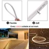 Strips Dimmable Neon Light 12V 2835 Waterproof Tape DIY Night 120Leds/m Flexible Led Strip Ribbon With Power SupplyLED