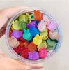 Color Small Grab Clip Hair Accessories Cartoon Baby Versatile Lovely Mixed Color Canned Hairpin Y2233111