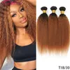 100 Capelli Umani Capelli Lisci Crespi 34 Bundles Ombre Yaki Wave Bundle Biondo Colorato Marrone 3 Toni Ombre Capelli Vergini Brasiliani Ext6026630