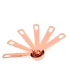 Zestaw łyżki łyżki ze stali nierdzewnej narzędzia luksusowe różowe złoto Zestawy pomiarowe