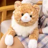 CM Symulowany Shiba Inu Husky Polar Bear Cat Peluche Toy Pchana miękka poduszka zwierząt Piękna lalki dla dzieci Prezenty dla dzieci J220704