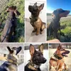 Hundekragen Leinen Taktische Kragen und Leinen einstellbar ein verstellbares langlebiges Big Hunting -Training für mittelgroße Hunde AccessoiresDog