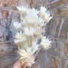 Ungefähr 35 Blütenköpfe, Zweige getrockneter natürlicher Blumen, selbstgemachter trockener Eternelle-Sternanis-Blumenstrauß für die Inneneinrichtung, Blumenarrangement 220527