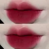 Lip Gloss Colors Pigment Matte Mud Tube Velvet Lipstick Langdurige en Cheek Dual Use Women Makeup CosmeticSlip Wish22