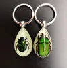 Insect in hars Specimen Keyring Teacher Studenten Discovery Science Education Props Luminous Glow in the Dark Bug Keychains