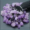 Pendant Necklaces Pendants Jewelry Natural Crystal 10-18Mm Amethyst Rough Stone Necklace For Women Gift Drop Delivery 2021 Ib19G