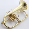 العلامة التجارية الجديدة المحترفة MFC Flugelhorn BH-950 ورنيش الذهب مع مهنة القضية Flugelhorns BB جرس النحاس الأصفر