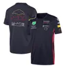 F1 Driver T-Shirt Team Crew Neck T-shirt Men's Casual Sports Short Sleeve Quick Dry Top Logo kan anpassas230J