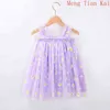 Mignon Daisy Broderie Filles Jarretelles Robe D'été De Haute Qualité Fille Robes De Fête D'anniversaire Twims Bébé Tulle Princesse Robe 0-6T G220518