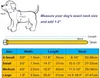 Altın Pin Toka Ayarlanabilir Tokalar ile Köpek Tasmaları Moda Deri Köpek Tasmaları Boyun Dekorasyon Evcil Hayvan Malzemeleri aksesuarları