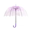 Elegante Simplicidade Bolha Profunda Dome Guarda-chuvas Longo Punho Apollo Transparente Guarda-chuva Girona Guarda-chuva Clear Bubbles Ambiental Giftzc1005