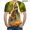 تي شيرت رجالي 2022 Fashion Chicken 3D Print Men Women T Shirt XS-5XL