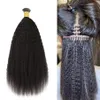 I tip human hair extensions 100% kinky straight 10-24 inch2487
