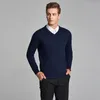 남자 스웨터 2022 스타일 남성 가을 공식 평범한 색상 v 긴 소매 양모 풀오버