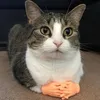 Kostiumy kota 1Pair zabawny masaż małe rękawiczki palców fałszywa ludzka ręka na kotki Halloweenowe akcesoria