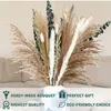 Decoratieve bloemen kransen groothandel natuurlijke gedroogde phragmieten eucalyptus pampas gras boeket Boheemse woning decor schoonheidsbedrijfsprugie Ornamenten