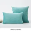 Cushion/Decorative Pillow 60x60 Velvet Pillowcase Sofa Cushion Cover Solid Color Bedside Backrest Home Living Room Plush Case InsCushion/Dec