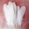 Natural Goose Feathers Plumes Decoration 15-20cm Colourful Swan Feather Plume for Home Decoration Craft DIY Party Jewelry