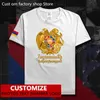 Armenia T-shirt gratuit Nom de bricolage personnalisé Numéro 100 coton t-shirts hommes femmes lâches décontractées arménien arme drapeau T-shirt 220616