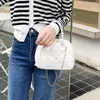 레이디 패션 크로스 바디 새로운 디자이너 가방 어깨 간단한 스타일 체인 쉘 핸드백 뜨거운 줄무늬 타르탄 평범한 실용적인 여성 지퍼 미니