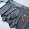 Designer cuecas moda clássico luxo respirável roupa interior secagem rápida premium designer boxers conforto de alta qualidade sênior duro sexy c01 01aq