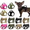 Colliers pour chiens, laisses pour petits chats, harnais militaire tactique pour animaux de compagnie, gilet pour chiot, laisse élastique avec poignée pour chiens de taille moyenne et grande, ChihuahuaDog