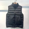 Tide Fluffy Puffy Vest 고품질 Ins 남성용 후드 분리형 워밍업 조끼