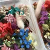 1 Box natürliche Trockenblumen für Kunstharzschmuck, Trockenpflanzen, gepresste Blumen, Herstellung von Bastel- und DIY-Zubehör